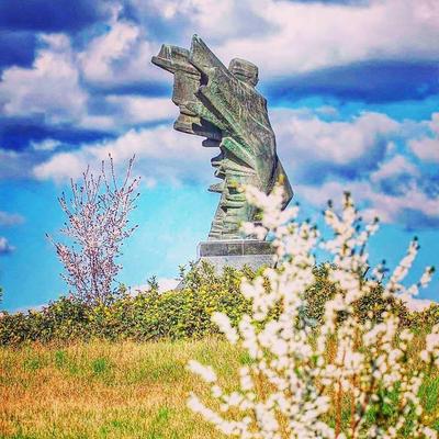 9. Bečejska desetka